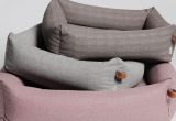 Dog Beds