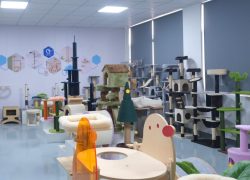 SHOW ROOM 2